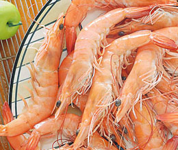 White shrimp cooked shrimp Series