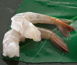 Pnd tail-on vannamei shrimp